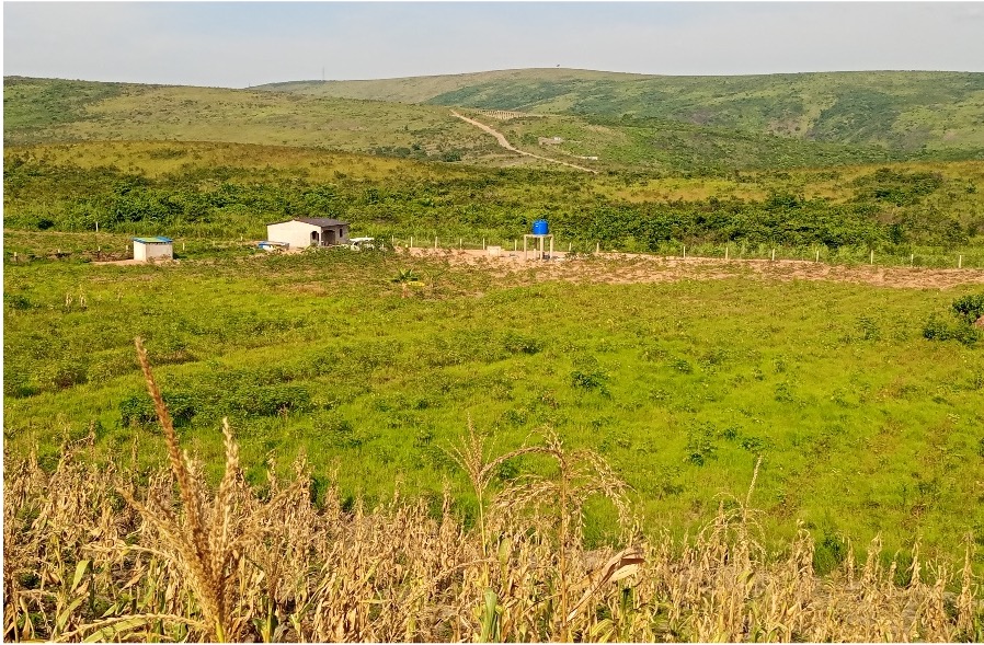 BCP photo: farm2